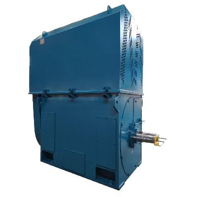 High Voltage Electric Motor