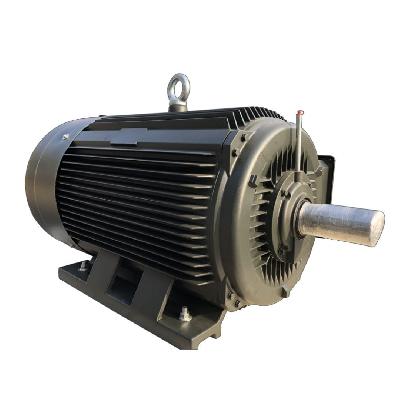 Low Voltage Electric Motor
