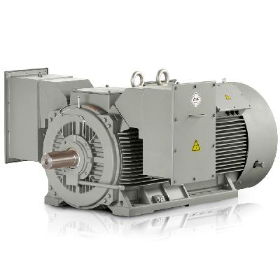 Medium Voltage Electric Motor