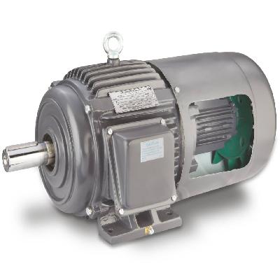 Electric Heavy Duty Motors