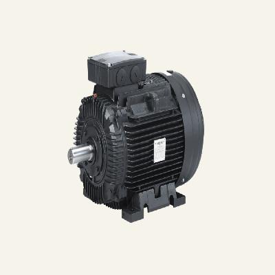 Electric Motors