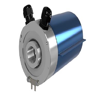 Electrical Slip Ring Mounted Motors