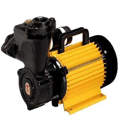 Monoblock Domestic Pump