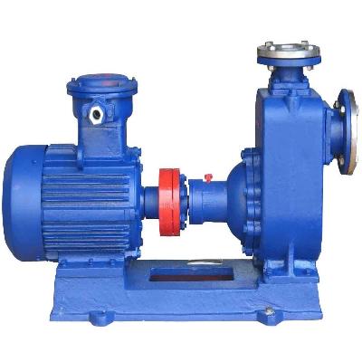 Self Priming Pump