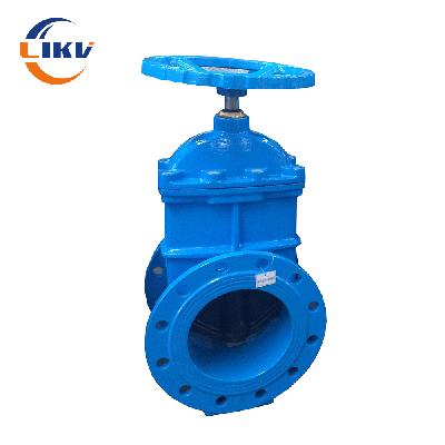Sluice Valve