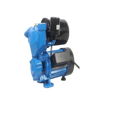 Domestic Pump