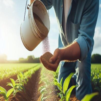 Agriculture Fertilizer