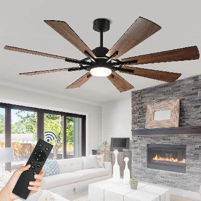 Ceiling Fans