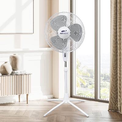 Stand Fan Thunder