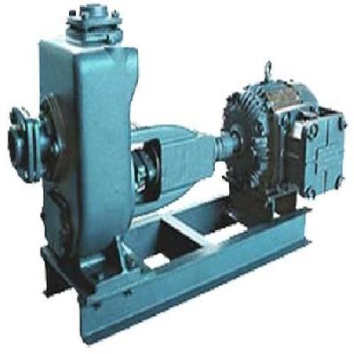 Dewatering Coupled Pump