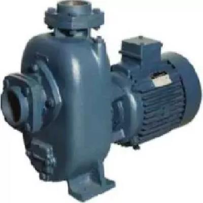 Dewatering Monoblock Pump