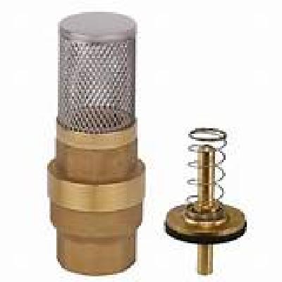 Footvalve Strainer