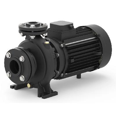 Lubi Pumps