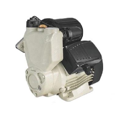 2 HP Booster Pump