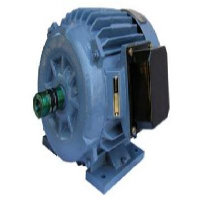 Standard Electric Motors