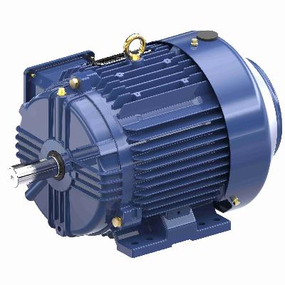 Electrical Motor