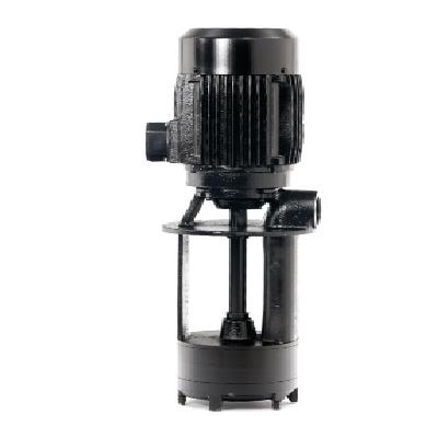 Rajamane Coolant Pumps