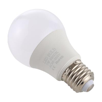 7W LED Bulb