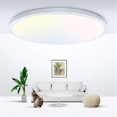 LED Ceiling Light