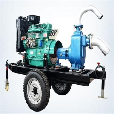 Diesel Engine Pump