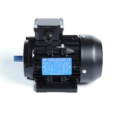 AC Electric Motor