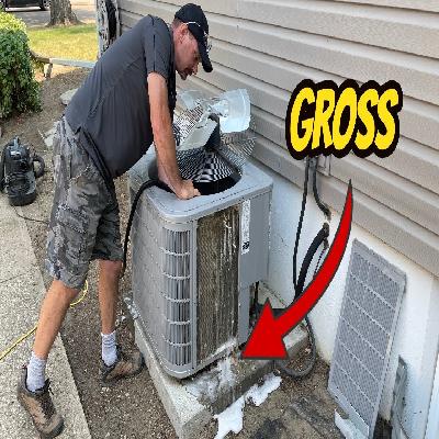 Condenser Cleaning