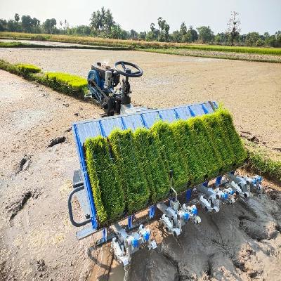 Kisankraft Paddy Transplanter Kk Rrt 8R
