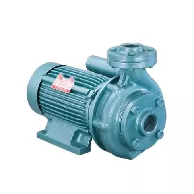 Texmo Monoblock Pump