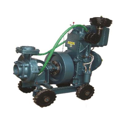 UL 5001: JALVEER Light Weight 5 HP Vertical Water Cooled Portable Pumpset , 2600 RPM