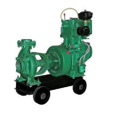 Usha UL 5000: 5 HP Light Weight Horizontal Air-Cooled Pumpset ,2600 RPM