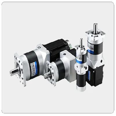 Flange Motors