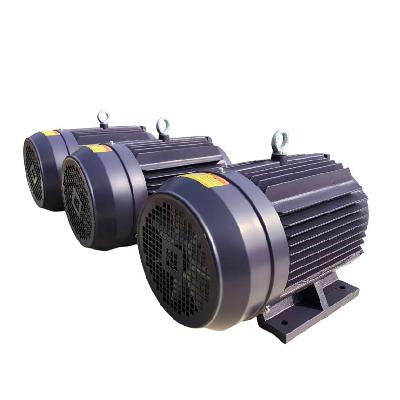 Three Phase Electric Motors