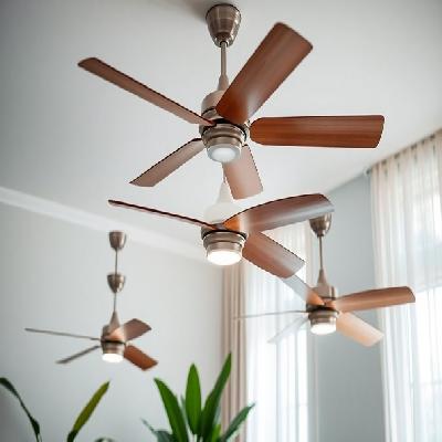 Enter Ceiling Fan
