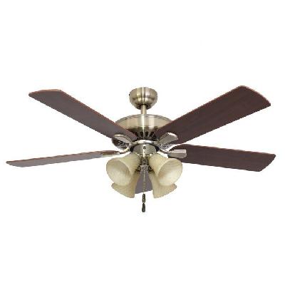 Wilma Ceiling Fan