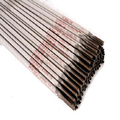 Stainless Steel Electrode