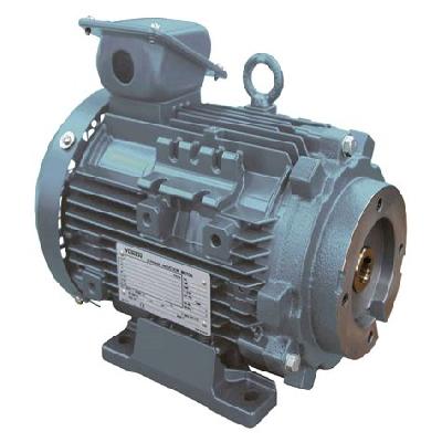 Electric Motor Pump