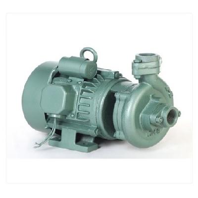 1 HP Single Phase Electric Monoblock Pump