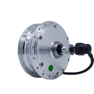 BLDC Hub Motor