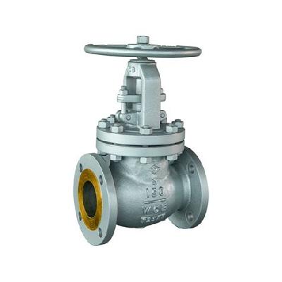 Globe Valve