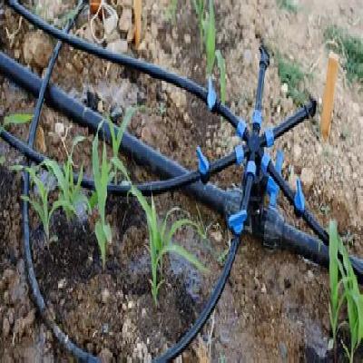 Micro Irrigation Services