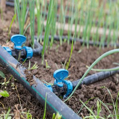 Drip Irrigation Pipes