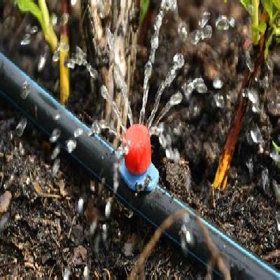 Drip Irrigation System