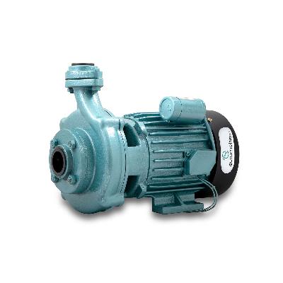 Single Phase Monoblock Pump