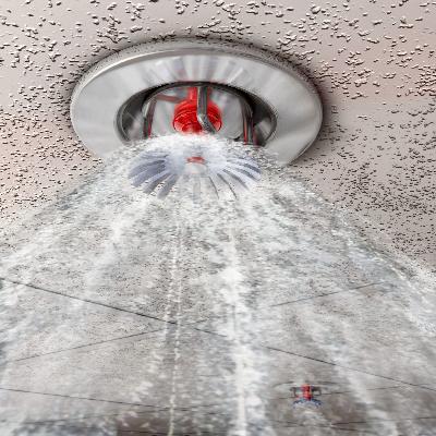 Fire Sprinkler