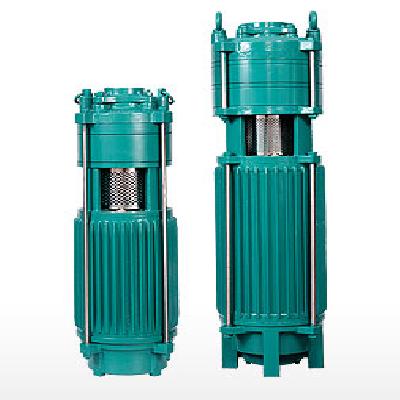 Vertical Open Well Submersible Pump Set