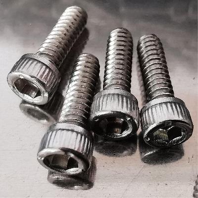Stainless Steel Bolts