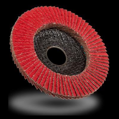 Flap Disc