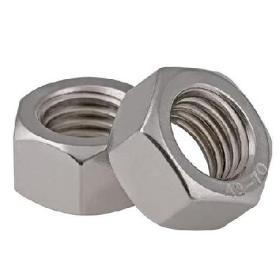 Stainless Steel Hex Nut