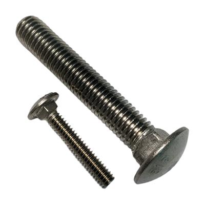 Stainless Steel Carriage Bolt