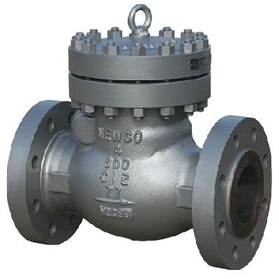 Swing Check Valve